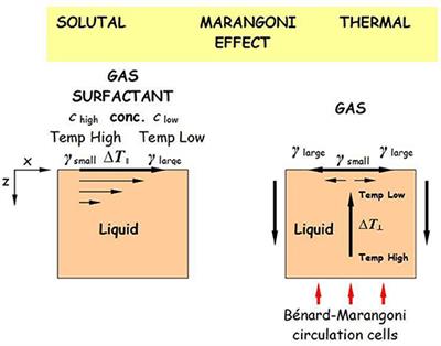 Influence of Surfactant Concentration and Temperature Gradients on Spreading of Crude-Oil at Sea*